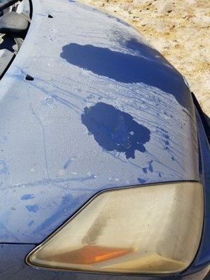 Oil left on our hood...