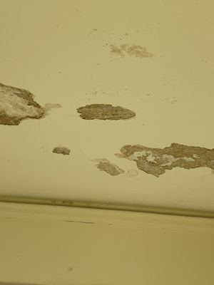 Water damaged ceiling