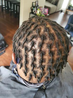 Starter Locs