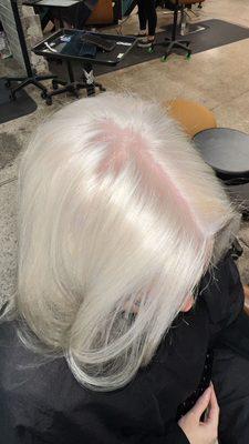 Platinum Bleach and Tone