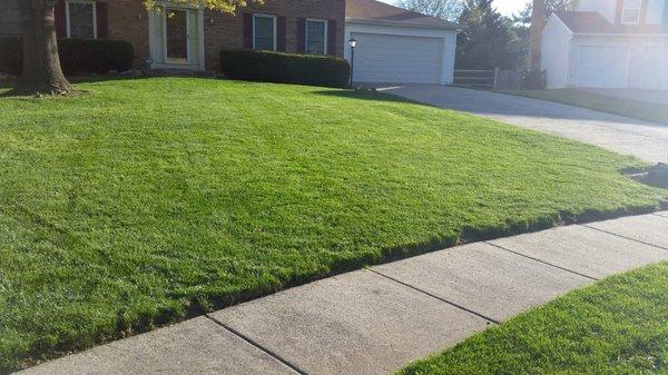 Maintenance lawn care from jcanaslawn