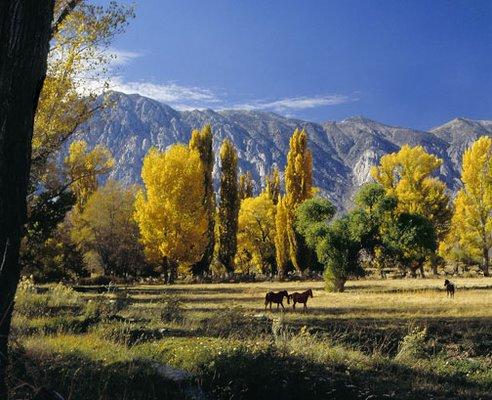 Sierra Mountains