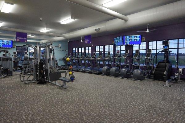 Variety of Cardio Machines