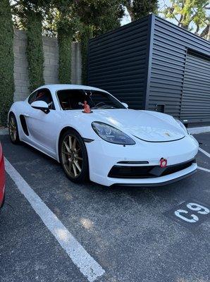 Porsche cayman windshield replacement