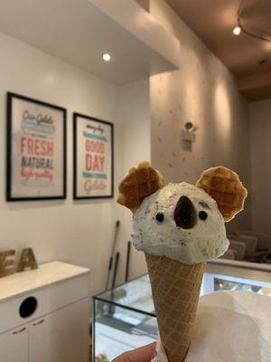 Koala with mint chip gelato