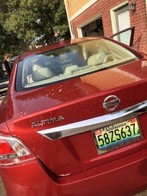 Nissan Altima being washed, our second step in the detailing process.