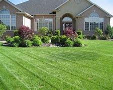 Father & Son Lawncare