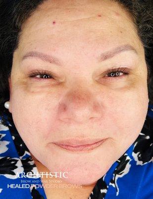 healed powder brows