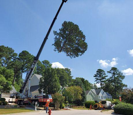 Crane service available for minimal impact to landscape.