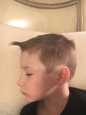 He asked for a mohawk and got a unicorn horn