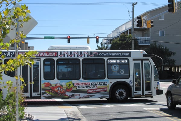 Beach Bus