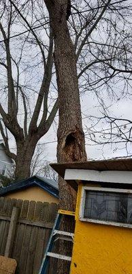 Dangerous! Power lines, fence, garages, garden. Extremely rotten!