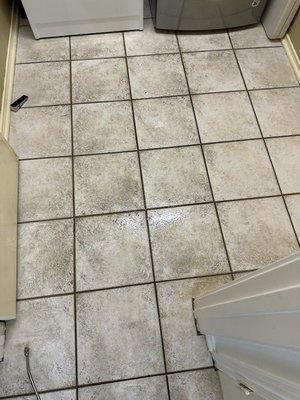 This is a photo of how the floor looked before being cleaned.