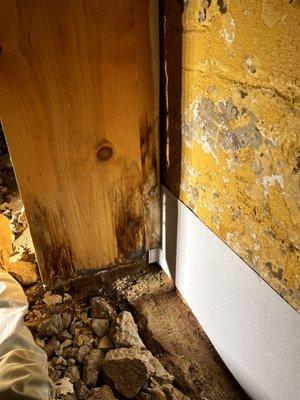 Basement waterproofing and mold management.