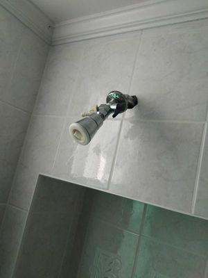 Shower head