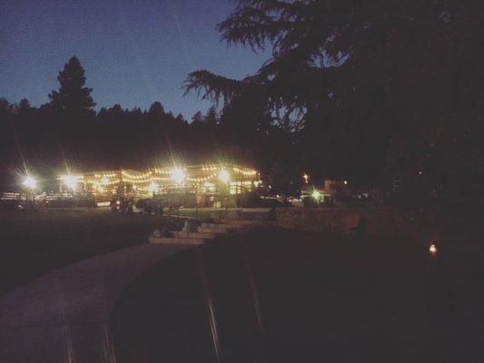 Redwood Glen at night.