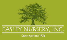 Easley Nursery