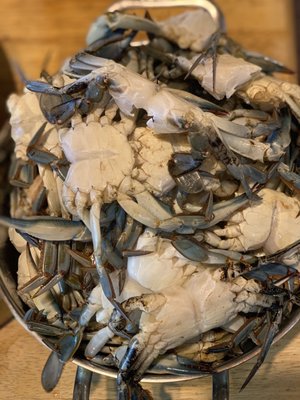 Fresh cleaned blue crab