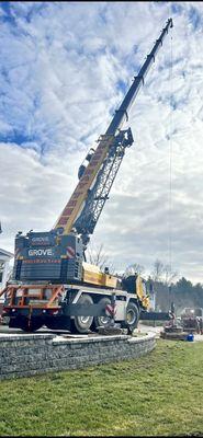 Large Tree removal