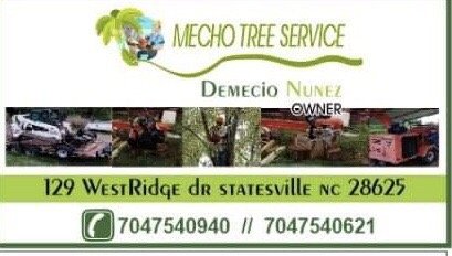 Mecho Tree Service