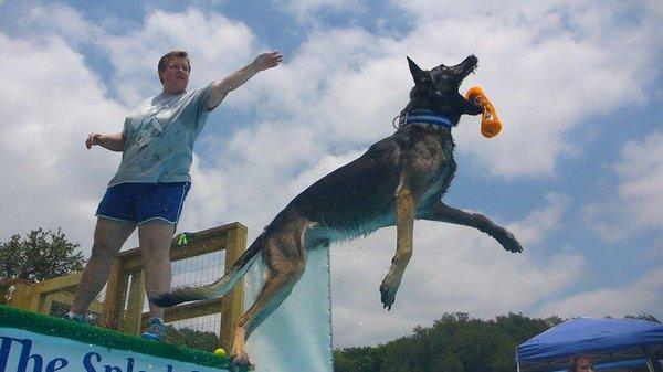 Competitive Dock Diving