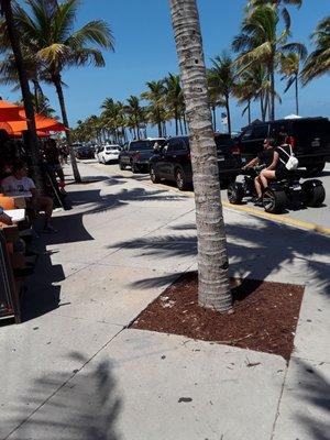 View Down A1A Ftlaud Beach...!!!