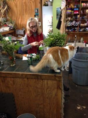 Kathy designing a floral arrangement with some help from her pal Butterscotch.