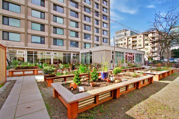 Resident garden during the day.