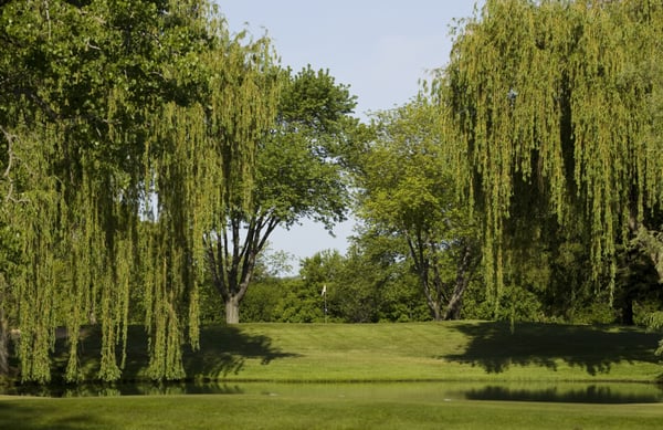 Bristol Oaks Golf Club & Banquet Center