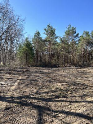 Area cleared and leveled