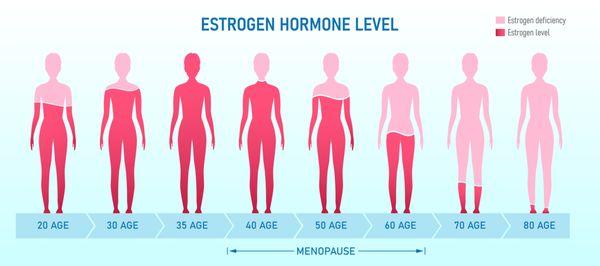 Estrogen is the dominant female hormone and fluctuates during different times in the menstrual cycle and as you age.