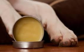 All Natural Paw Balm