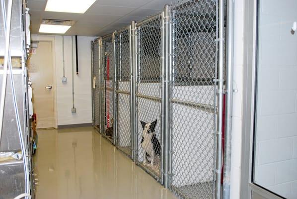 Kennel