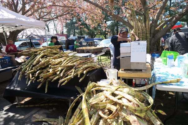 Sugar Cane tasty af