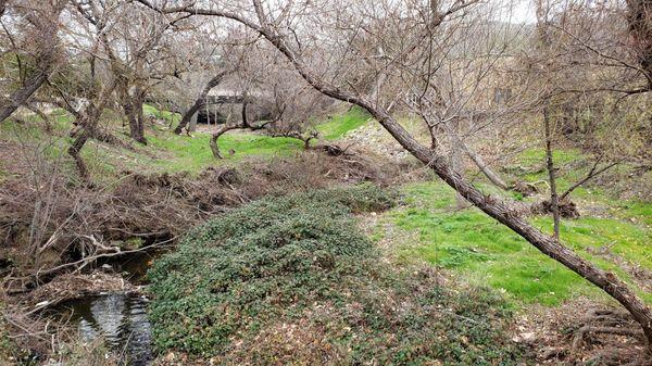 Gentle creek.