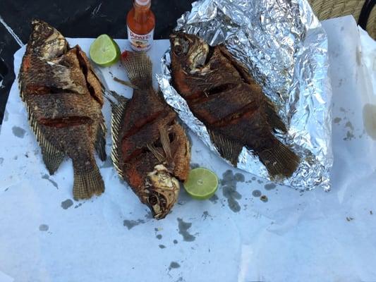 Pescado mojarras