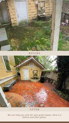 From putrid to pretty, we can take care of your space.