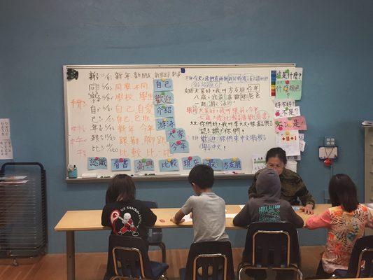 Advanced Mandarin Chinese class for heritage language children (kids who already understand Chinese from preschool or at home speaking).