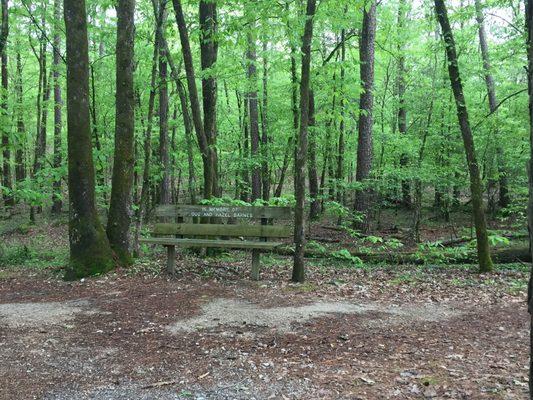 Benches through out the many walks