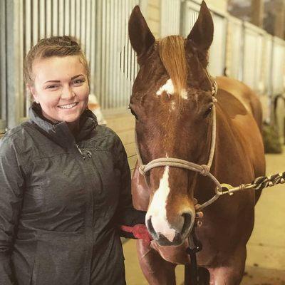 Professional Horse Clipping