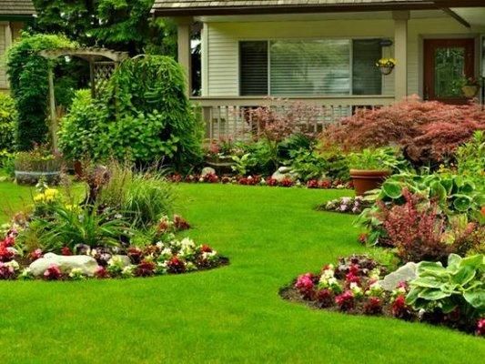 We minimize and control weeds in your landscaping by hand weeding and applying weed control treatments as part of our regular maintenance ro