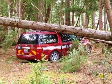 Tree vs B51, no injuries. Crew was standing away from rig when tree came down also striking a residence.