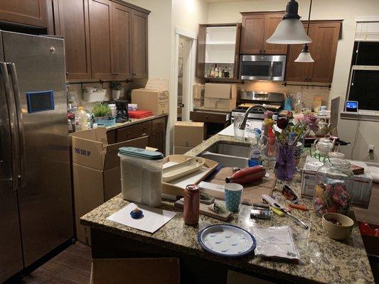 Disaster of a kitchen, cupboards and drawers left open, breakables all over, in a house full of kids.