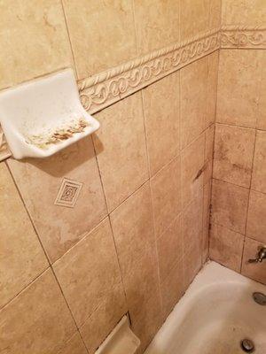 mold in grout