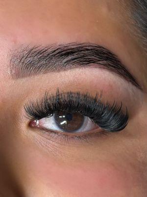 Brow Lamination & Wispy Vol. Fill