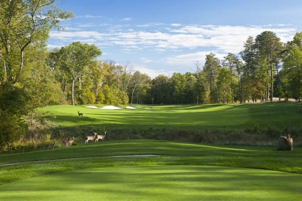 Norman Course at The Golf Club at Lansdowne- Hole 11