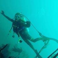 Central Coast Diving