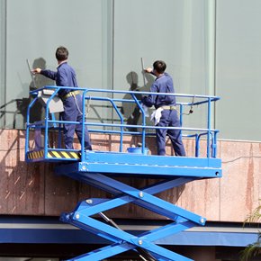 Shark Window Cleaning