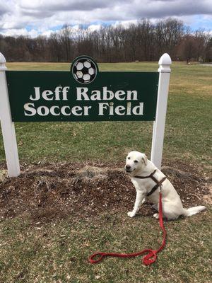 Soccer field