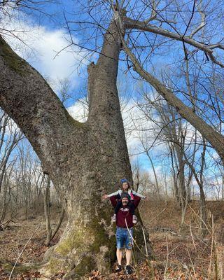 Got to take a picture in front of the Historical Sycamore Tree "Big Bonnie"